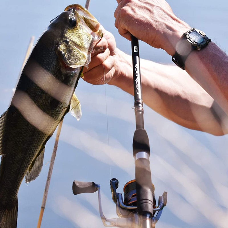 Cadence CS8 Spinning Reel,Cadence Ultralight Fast Speed Premium Magnesium Frame Fishing Reel with 10 Low Torque Bearings Super Smooth Powerful Fishing Reel with 36 LBs Max Drag & 6.2:1 Spinning Reel - Image 2